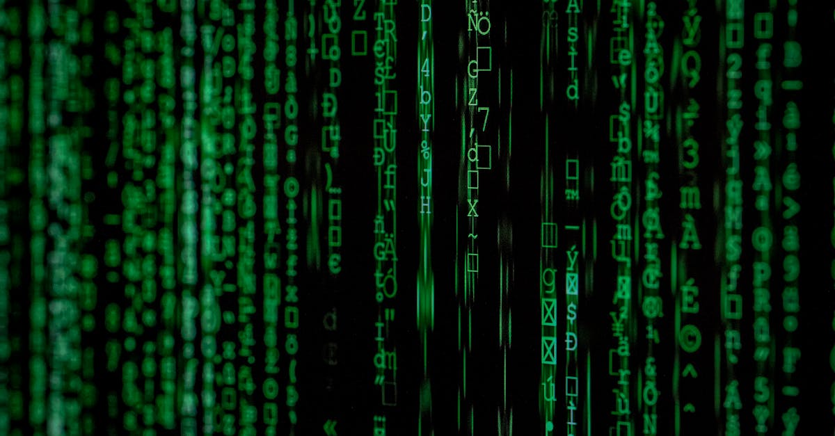 Serviteurs de cybersécurité : un atout incontournable pour la protection des données