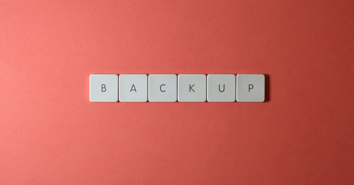 Délégués à la protection des données : comprendre leur rôle et leur importance